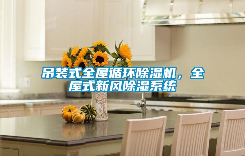 吊裝式全屋循環麻豆视频免费看，全屋式新風除濕係統