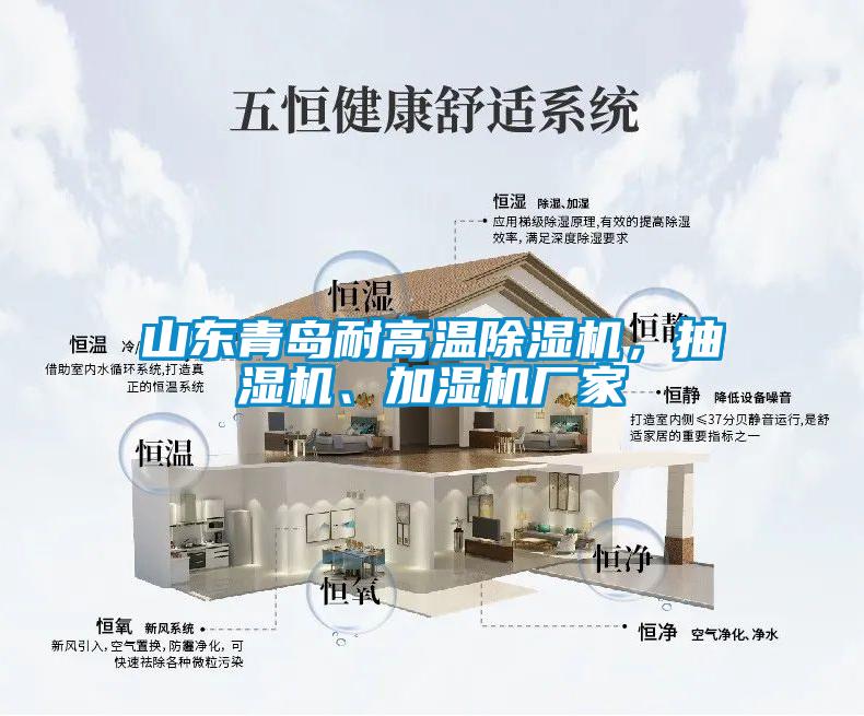 山東青島耐高溫麻豆视频免费看，抽濕機、加濕機廠家