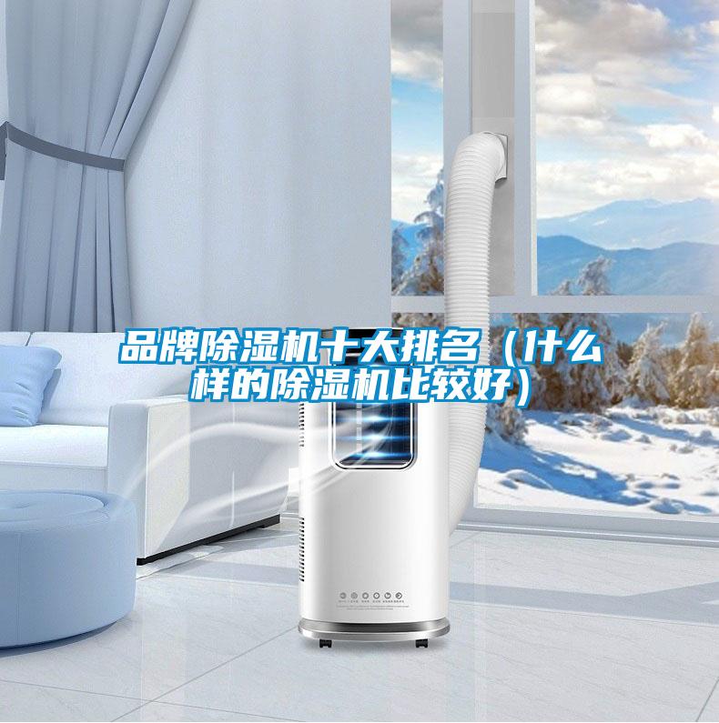 品牌麻豆视频免费看十大排名（什麽樣的麻豆视频免费看比較好）