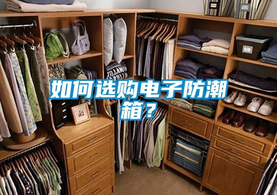 如何選購電子防潮箱？