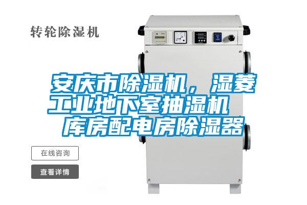 安慶市麻豆视频免费看，濕菱工業地下室抽濕機  庫房配電房除濕器