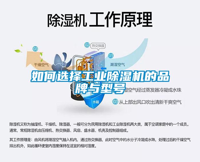 如何選擇工業麻豆视频免费看的品牌與型號