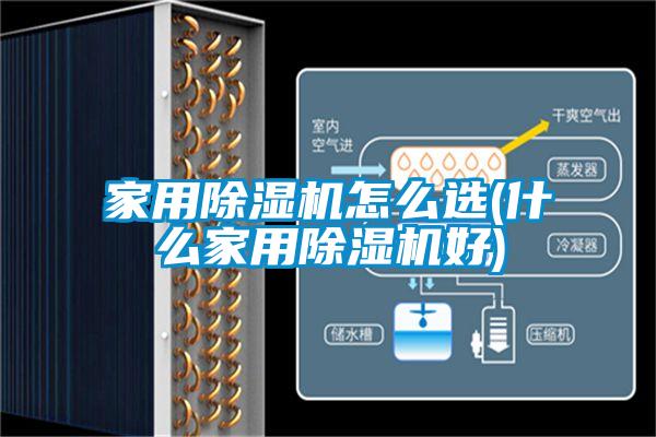 家用麻豆视频免费看怎麽選(什麽家用麻豆视频免费看好)