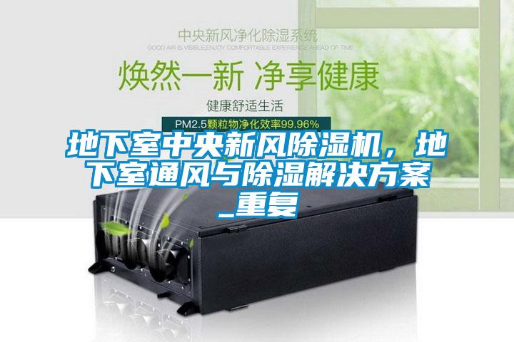 地下室中央新風麻豆视频免费看，地下室通風與除濕激情麻豆视频_重複
