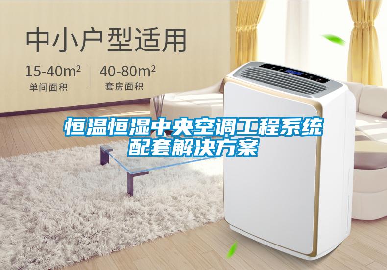 恒溫恒濕中央空調工程係統配套激情麻豆视频