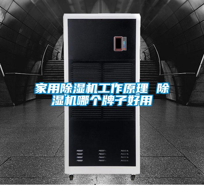 家用麻豆视频免费看工作原理 麻豆视频免费看哪個牌子好用