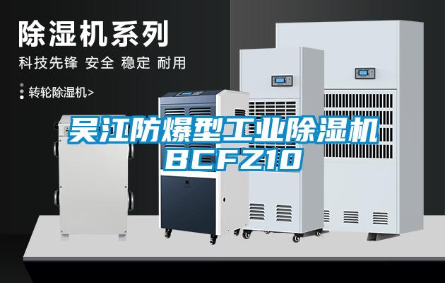 吳江防爆型工業麻豆视频免费看 BCFZ10