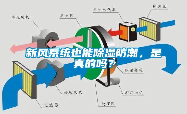 新風係統也能除濕防潮，是真的嗎？