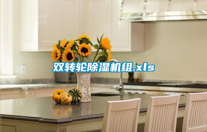 雙轉輪麻豆视频免费看組.xls