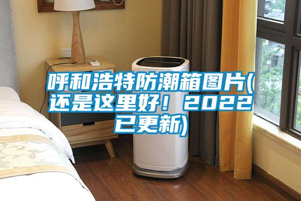 呼和浩特防潮箱圖片(還是這裏好！2022已更新)