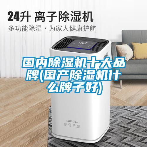 國內麻豆视频免费看十大品牌(國產麻豆视频免费看什麽牌子好)