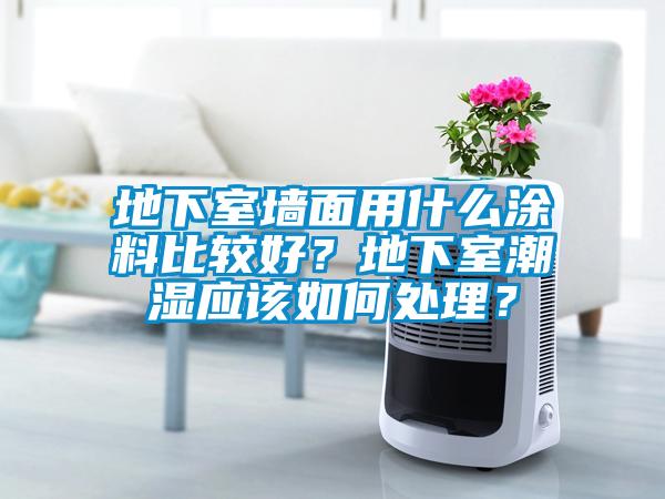 地下室牆麵用什麽塗料比較好？地下室潮濕應該如何處理？