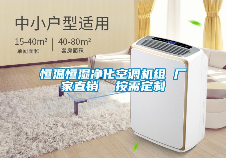 恒溫恒濕淨化空調機組 廠家直銷  按需定製