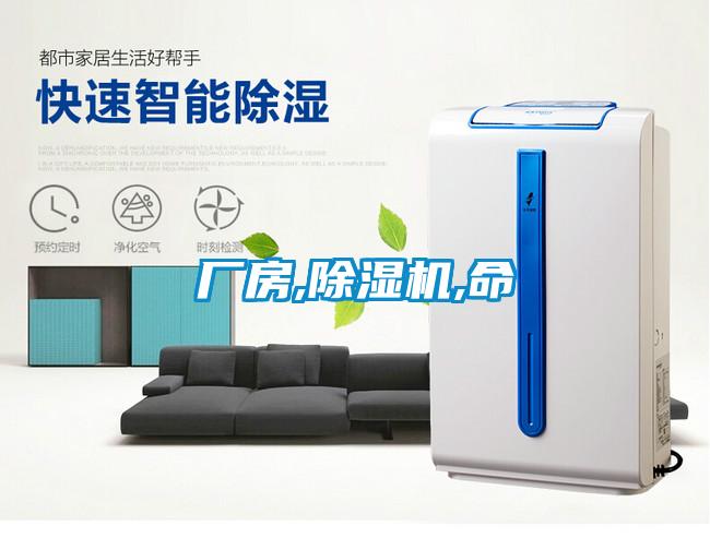 廠房,麻豆视频免费看,命