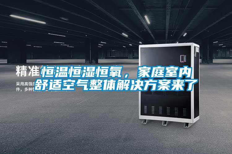 恒溫恒濕恒氧，家庭室內舒適空氣整體激情麻豆视频來了