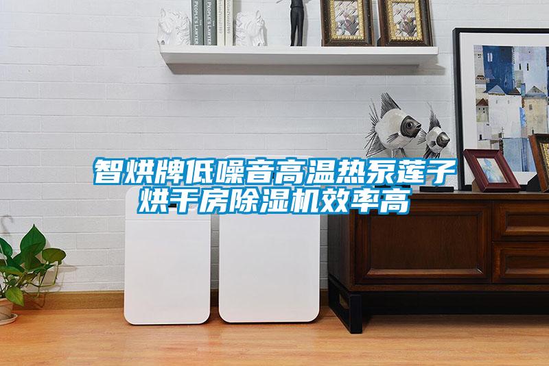 智烘牌低噪音高溫熱泵蓮子烘幹房麻豆视频免费看效率高
