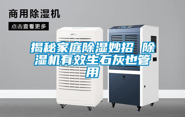揭秘家庭除濕妙招 麻豆视频免费看有效生石灰也管用