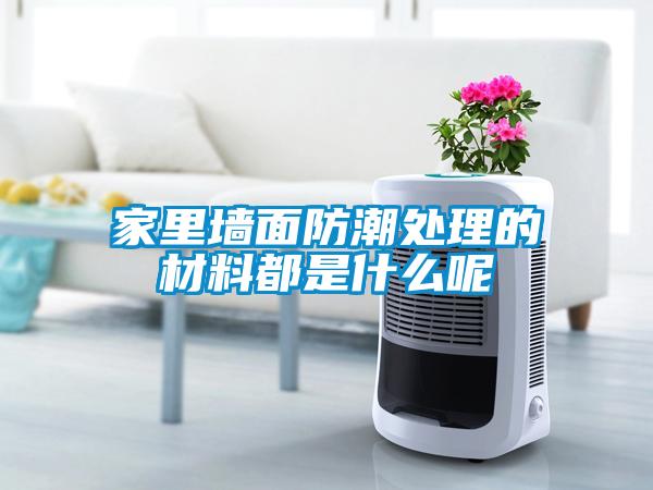 家裏牆麵防潮處理的材料都是什麽呢