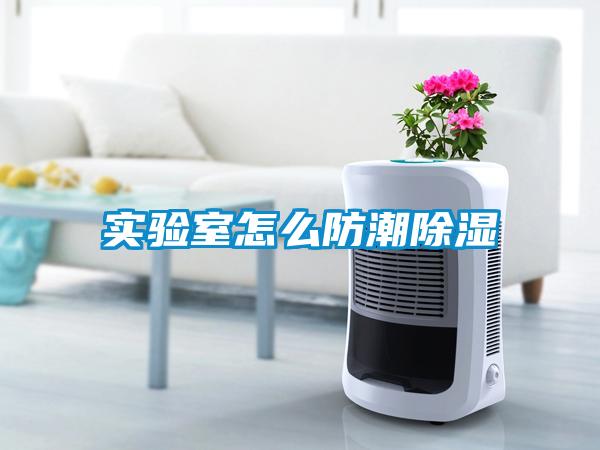 實驗室怎麽防潮除濕