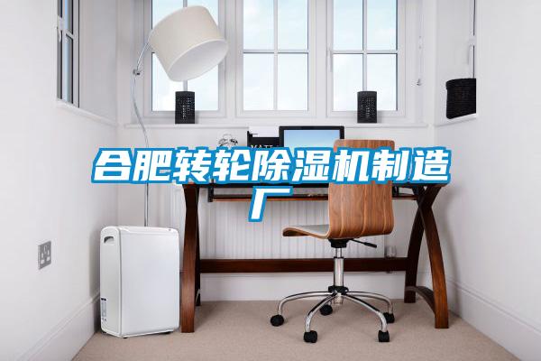 合肥轉輪麻豆视频免费看製造廠