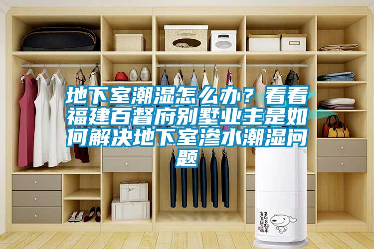 地下室潮濕怎麽辦？看看福建百督府別墅業主是如何解決地下室滲水潮濕問題