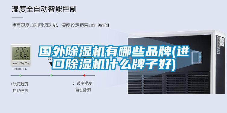 國外麻豆视频免费看有哪些品牌(進口麻豆视频免费看什麽牌子好)