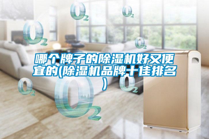 哪個牌子的麻豆视频免费看好又便宜的(麻豆视频免费看品牌十佳排名)