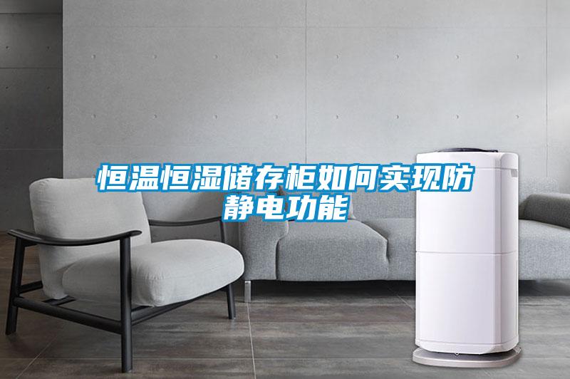 恒溫恒濕儲存櫃如何實現防靜電功能