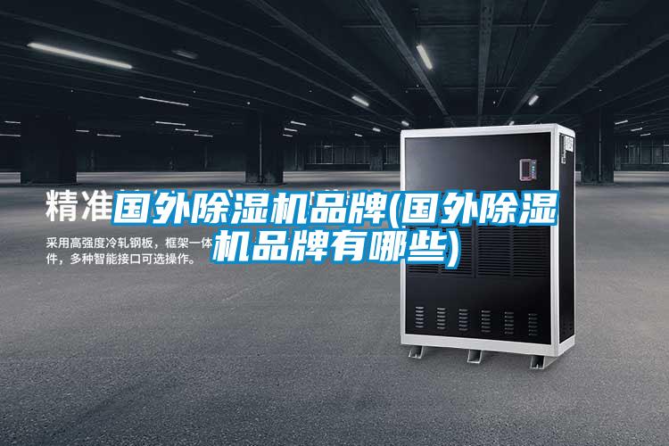 國外麻豆视频免费看品牌(國外麻豆视频免费看品牌有哪些)