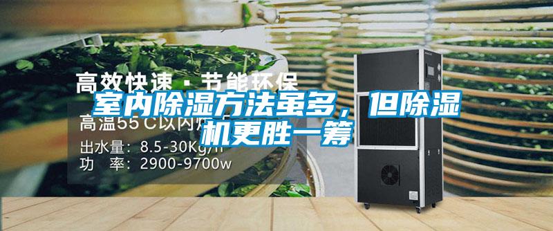 室內除濕方法雖多，但麻豆视频免费看更勝一籌