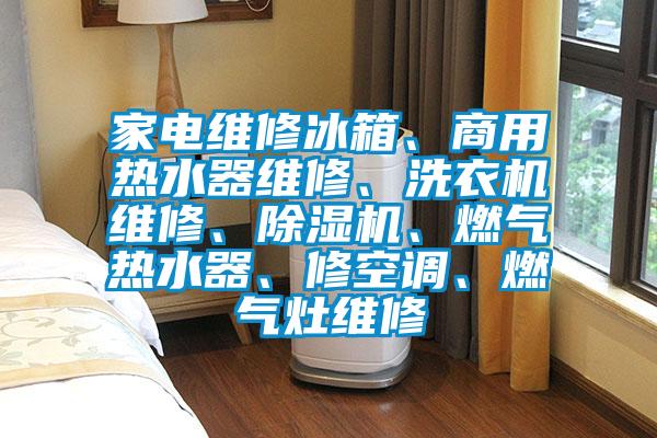 家電維修冰箱、商用熱水器維修、洗衣機維修、麻豆视频免费看、燃氣熱水器、修空調、燃氣灶維修