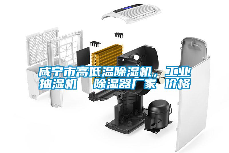 鹹寧市高低溫麻豆视频免费看，工業抽濕機  除濕器廠家 價格