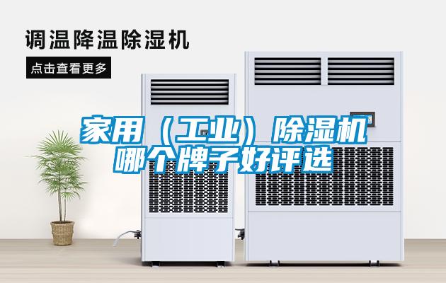 家用（工業）麻豆视频免费看哪個牌子好評選