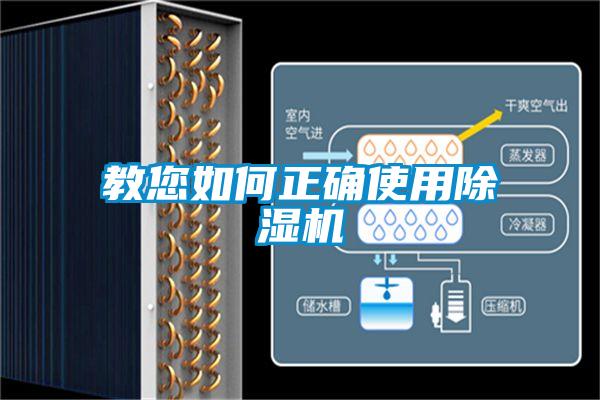 教您如何正確使用麻豆视频免费看