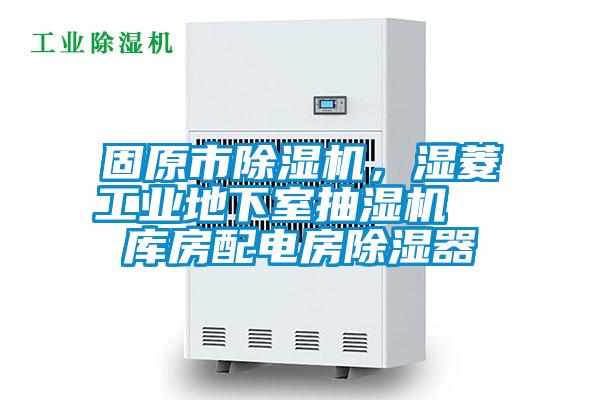 固原市麻豆视频免费看，濕菱工業地下室抽濕機  庫房配電房除濕器