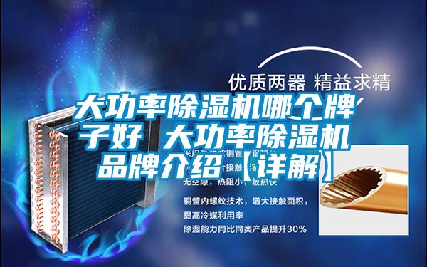 大功率麻豆视频免费看哪個牌子好 大功率麻豆视频免费看品牌介紹【詳解】