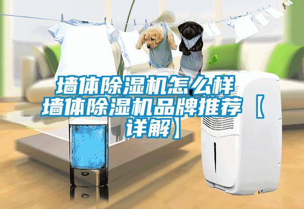 牆體麻豆视频免费看怎麽樣 牆體麻豆视频免费看品牌推薦【詳解】