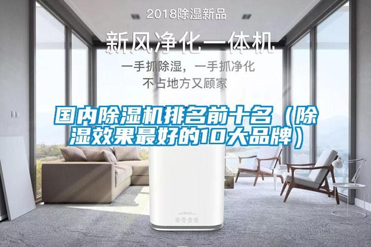 國內麻豆视频免费看排名前十名（除濕效果最好的10大品牌）