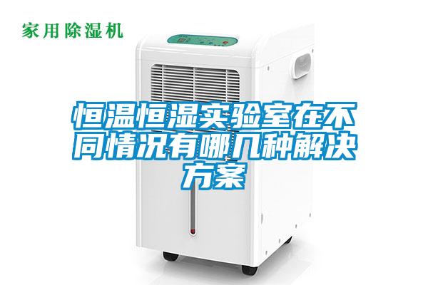 恒溫恒濕實驗室在不同情況有哪幾種激情麻豆视频