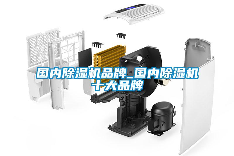 國內麻豆视频免费看品牌_國內麻豆视频免费看十大品牌