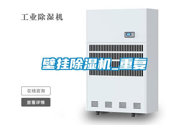 壁掛麻豆视频免费看_重複