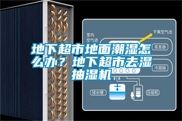 地下超市地麵潮濕怎麽辦？地下超市去濕抽濕機
