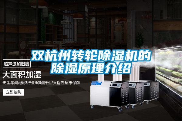 雙杭州轉輪麻豆视频免费看的除濕原理介紹