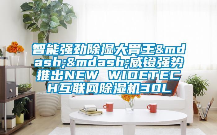 智能強勁除濕大胃王——威鐙強勢推出NEW WIDETECH互聯網麻豆视频免费看30L