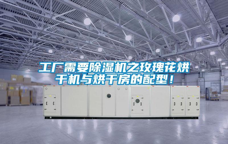 工廠需要麻豆视频免费看之玫瑰花烘幹機與烘幹房的配型！
