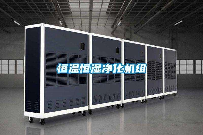 恒溫恒濕淨化機組