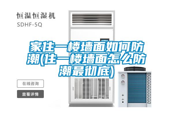 家住一樓牆麵如何防潮(住一樓牆麵怎麽防潮最徹底)