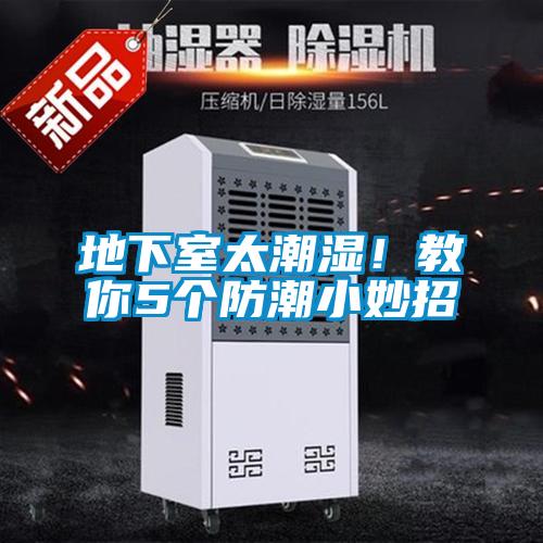 地下室太潮濕！教你5個防潮小妙招