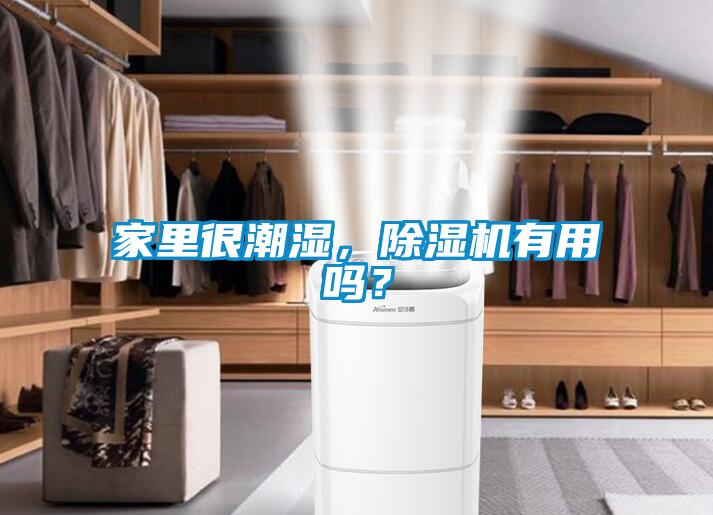 家裏很潮濕，麻豆视频免费看有用嗎？