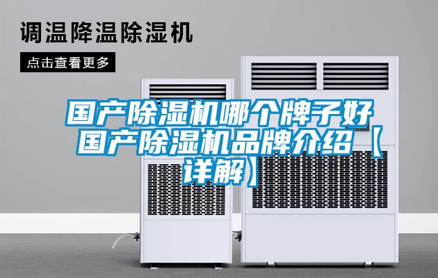 國產麻豆视频免费看哪個牌子好 國產麻豆视频免费看品牌介紹【詳解】